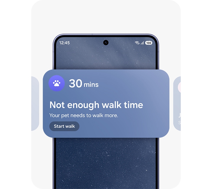 갤럭시 S26+ 화면에 Now Brief의 2가지 위젯이 표시되어 있습니다. 하나는 반려 동물이 충분한 산책 시간을 갖지 못했음을 알려주고, 다른 하나는 누군가의 생일임을 알려줍니다.