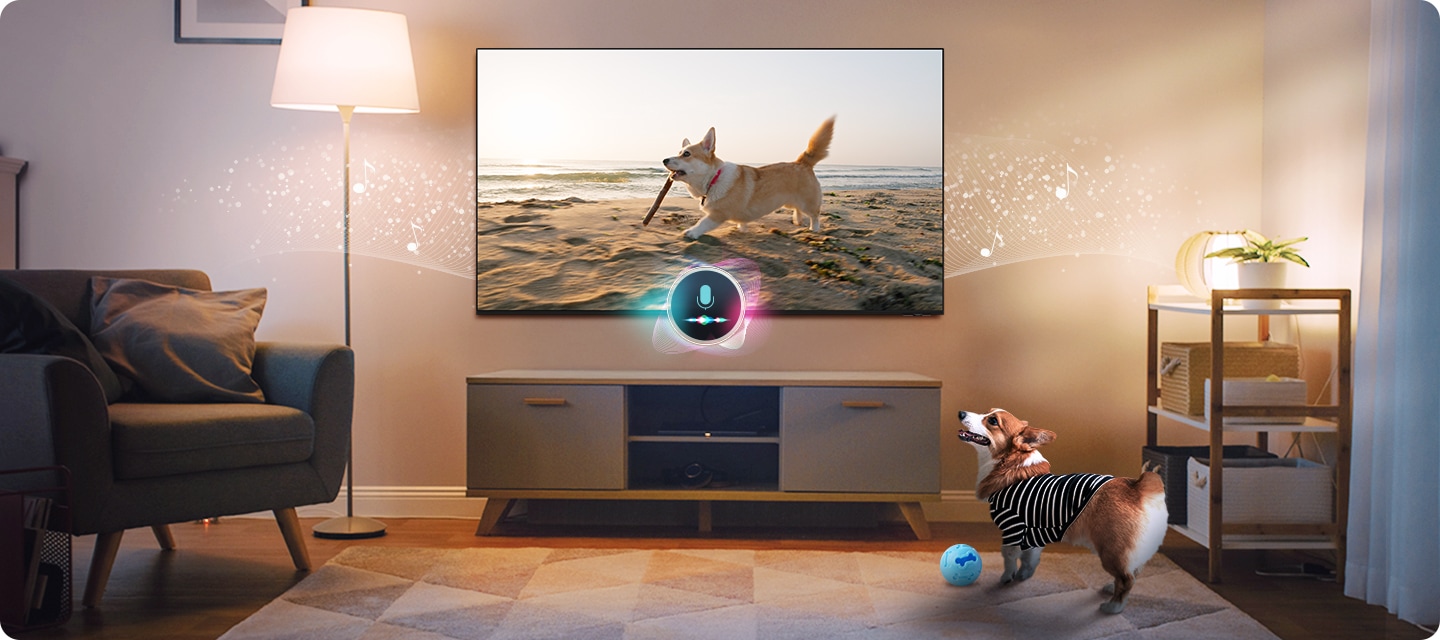 거실에서 TV를 보고 있는 강아지가 있습니다. TV 화면에서는 해변가에서 산책 하고 있는 강아지 모습이 보여지고 있습니다.