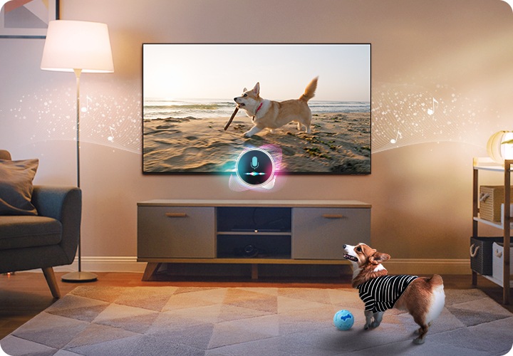 거실에서 TV를 보고 있는 강아지가 있습니다. TV 화면에서는 해변가에서 산책 하고 있는 강아지 모습이 보여지고 있습니다.