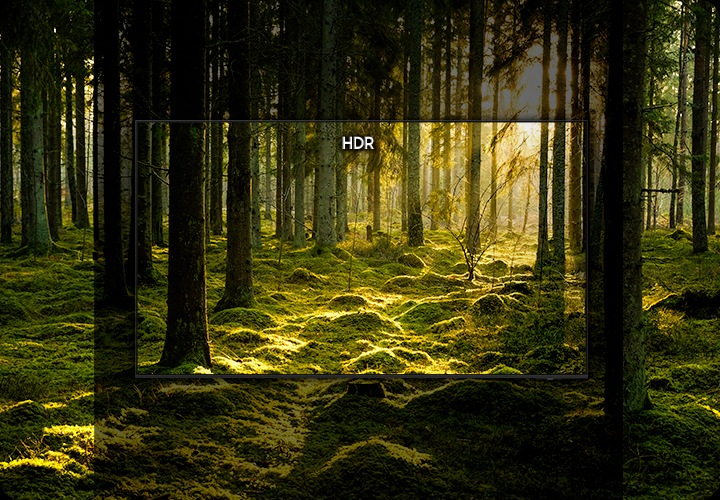 TV 화면에 숲 속이 보입니다. 중앙 ‘HDR’이 표시된 부분은 화면이 선명하게 표현되었으며, ‘HDR’이 표시되지 않은 부분은 중앙에 비해 화면이 어둡게 표현되어 있습니다.