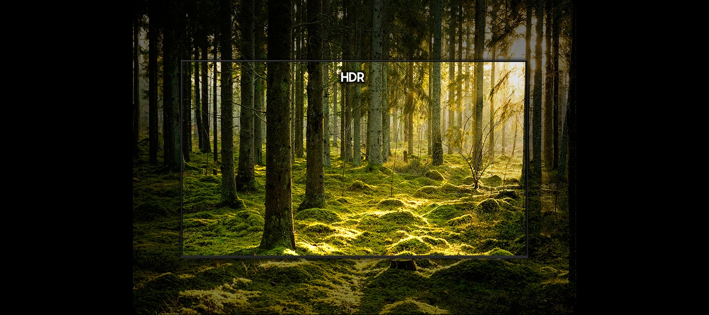 TV 화면에 숲 속이 보입니다. 중앙 ‘HDR’이 표시된 부분은 화면이 선명하게 표현되었으며, ‘HDR’이 표시되지 않은 부분은 중앙에 비해 화면이 어둡게 표현되어 있습니다.