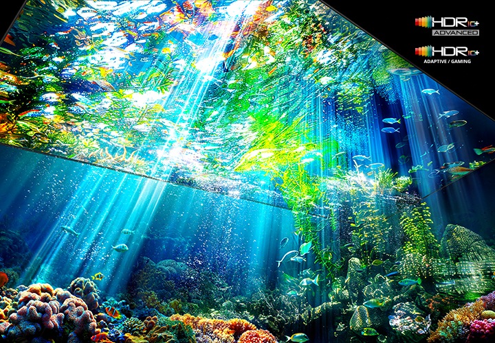 TV 화면 속에서 바다 속이 보입니다. 위에서 빛이 투과되어 들어 옵니다. 오른쪽 상단에는 HDR+ 로고가 있습니다.