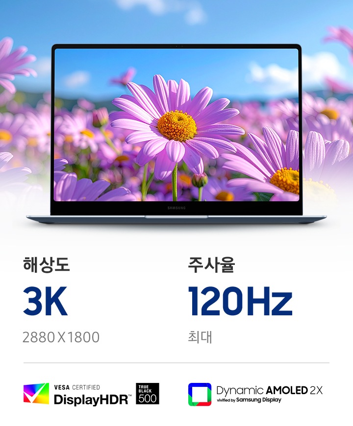 갤럭시 북6 엣지가 펼쳐진 상태로 정면을 드러낸 모습입니다. 화면 너머로 퍼지는 보라색 데이지 꽃의 클로즈업 이미지가 선명한 화면을 강조합니다. 하단에는 2,880x1,800 3K 해상도와 최대 120Hz 주사율 문구가 있습니다. VESA 인증 디스플레이 HDR True Black 500nits 로고와 삼성 디스플레이의 Dynamic AMOLED 2X Vivified 로고가 함께 표시되어 있습니다.