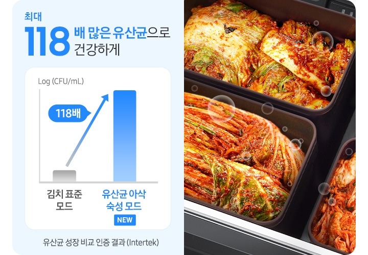 유산균 성장 비교 인증결과(Intertek)그래프와 배추 김치에서 유산균이 버블 처럼 뿜어져 나오는 느낌의 연출된 이미지 입니다. 최대 118배 많은 유산균으로 건강하게-유산균 성장 비교 인증 결과(Intertek)그래프는 김치 표준 모드와 New 유산균 아삭 숙성 모드의 유산균 성장률을 비교하여 유산균 아삭 숙성 모드를 사용할 때 유산균이 118배 증가함을 나타내고 있습니다.