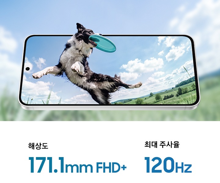 갤럭시 S26 FE가 가로 화면으로 정면에 배치됩니다. 기기가 살짝 뒤로 기울어져 있습니다. 화면에는 공중에서 프리스비를 잡는 강아지가 나타납니다. 강아지의 머리는 화면 밖으로 이어지고, 흐릿하게 표현된 배경도 화면 너머까지 자연스럽게 확장되어 몰입감 있는 디스플레이를 강조합니다. 해상도는 171.1mm FHD+, 최대 120Hz를 지원합니다.