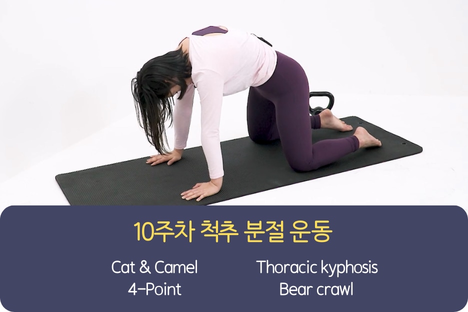강의 하나로 끝내는 바른자세운동의 정석 
