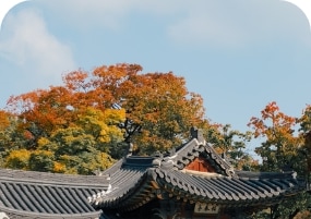 [국내 여행 예시 안내 고궁 이미지]