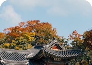 [국내 여행 예시 안내 고궁 이미지]