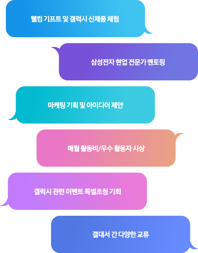 웰컴 기프트 및 갤럭시 신제품 체험, 삼성전자 현업 전문가 멘토링, 마케팅 기획 및 아이디어 제안, 갤럭시 관련 이벤트 특별초청 기회, 매월 활동비/우수 활동자 시상, 갤대서 간 다양한 교류