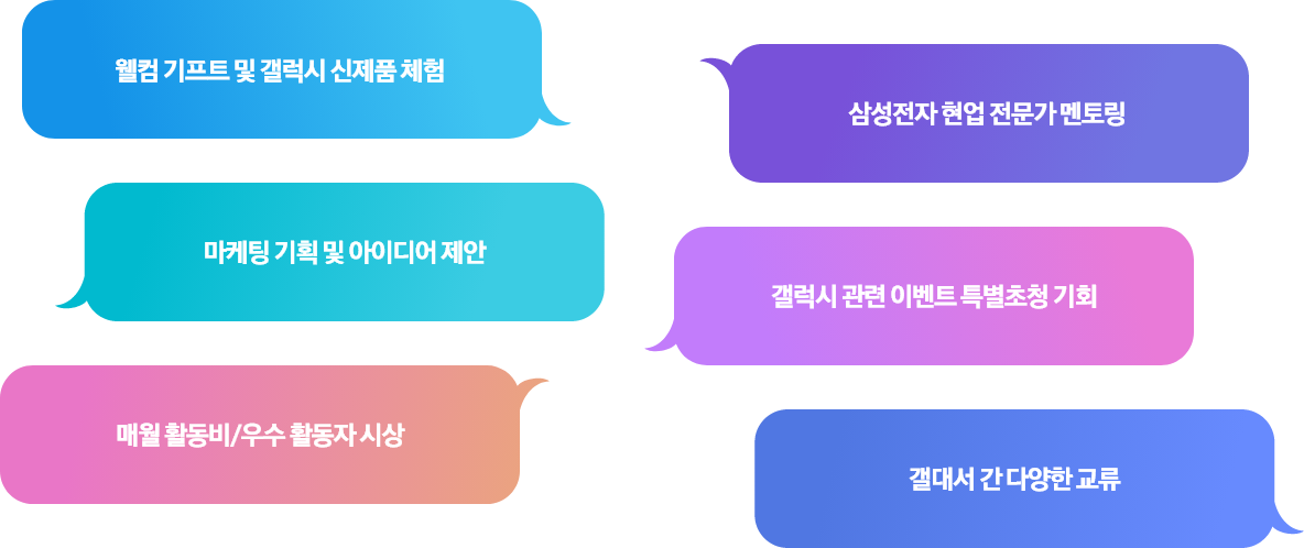 웰컴 기프트 및 갤럭시 신제품 체험, 삼성전자 현업 전문가 멘토링, 마케팅 기획 및 아이디어 제안, 갤럭시 관련 이벤트 특별초청 기회, 매월 활동비/우수 활동자 시상, 갤대서 간 다양한 교류