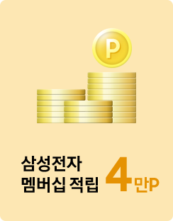 동전