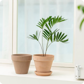 데로마 바소 화이트 13CM