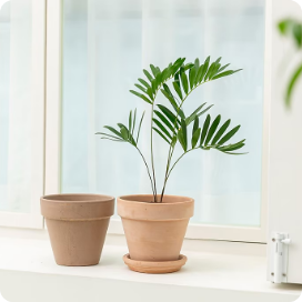 데로마 바소 화이트 13CM