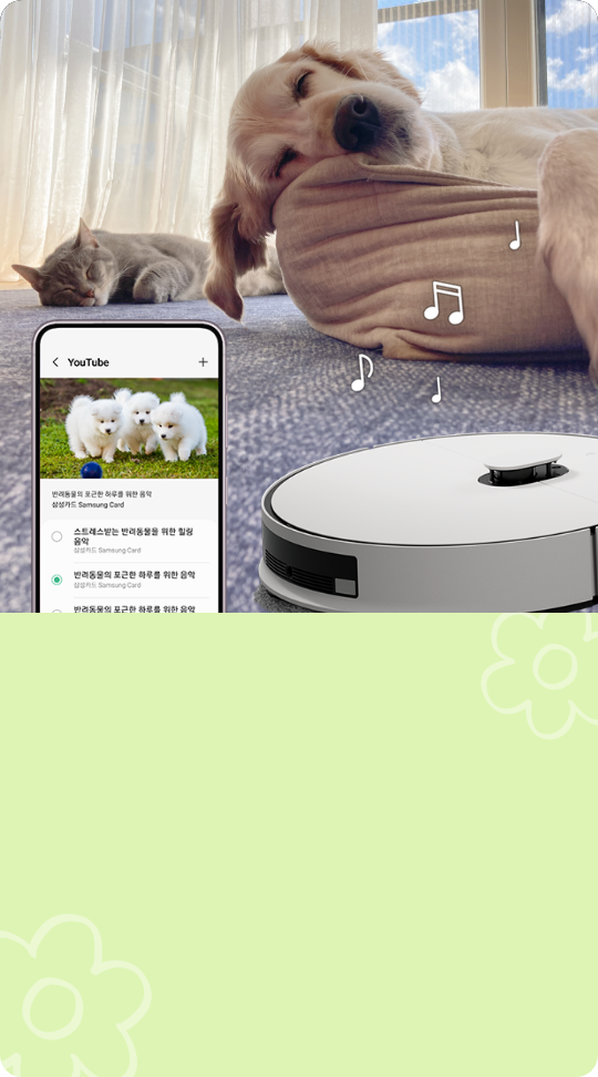 원격으로 음악이나 영상을 재생하는 화면, 쿠션 위에 누워있는 대형견 1마리, 바닥에 누워있는 고양이 1마리, 로봇 청소기, 연두색 배경, 꽃 아이콘