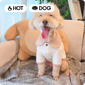 강아지 오가닉 카라티