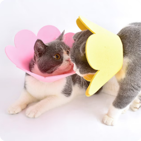 나마스펫 강아지 넥카라 초령량 꽃잎 심플라워 고양이 깔대기 EVA 중성화 애견 목카라