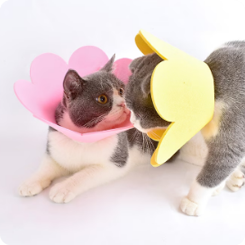 나마스펫 강아지 넥카라 초령량 꽃잎 심플라워 고양이 깔대기 EVA 중성화 애견 목카라