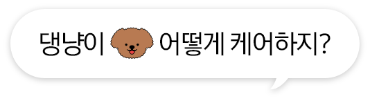 댕냥이 어떻게 케어하지?, 강아지 일러스트