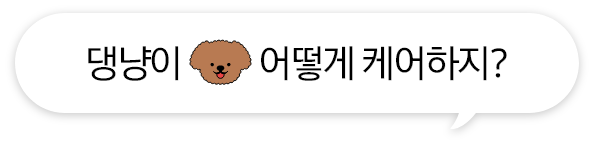 [댕냥이 어떻게 케어하지¿, 강아지 일러스트]