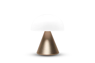 렌슨 전구 이미지