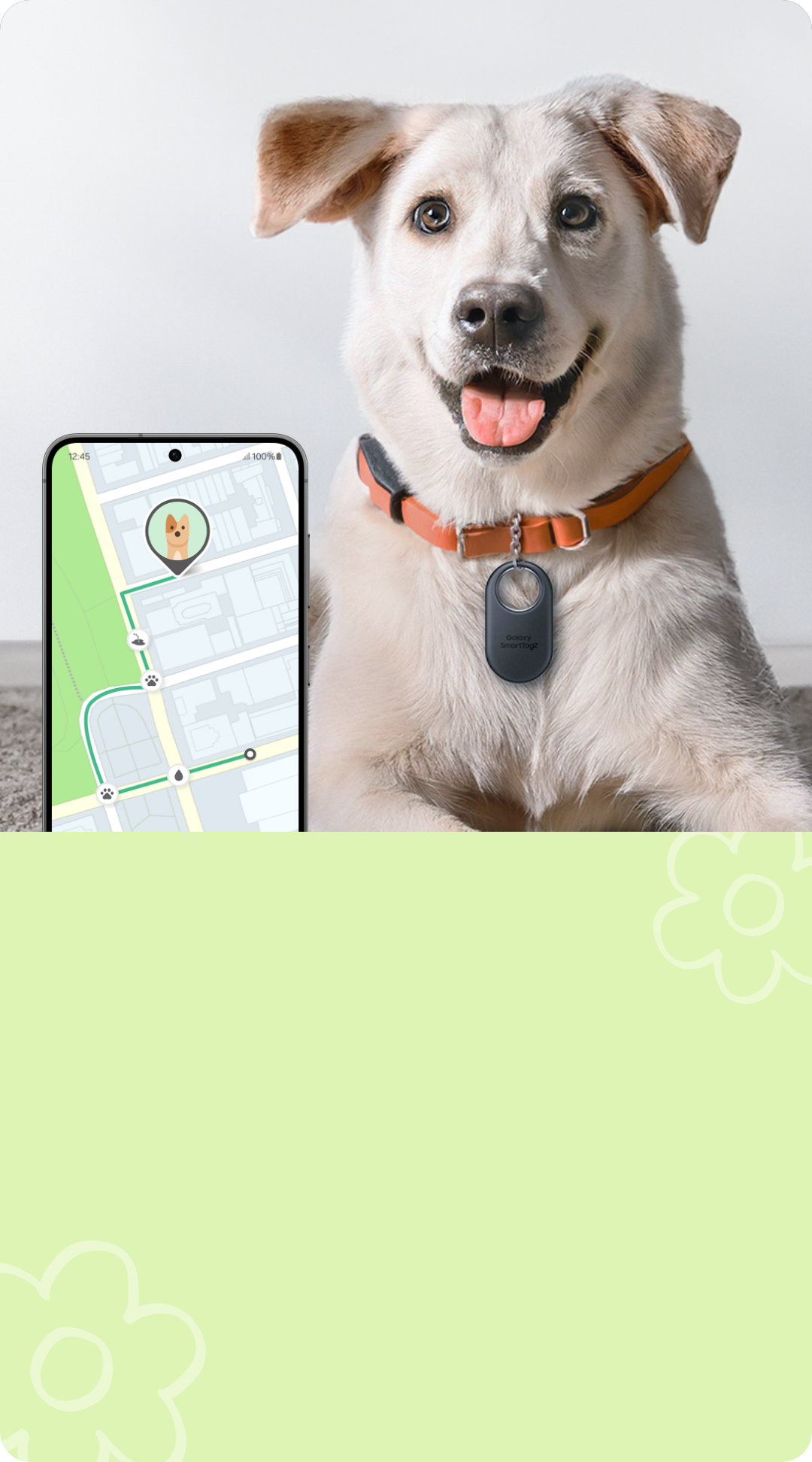 NFC 태깅으로 반려동물의 위치를 확인하는 화면, 스마트 태그를 목걸이에 달고 있는 대형견 1마리, 연두색 배경, 꽃 아이콘