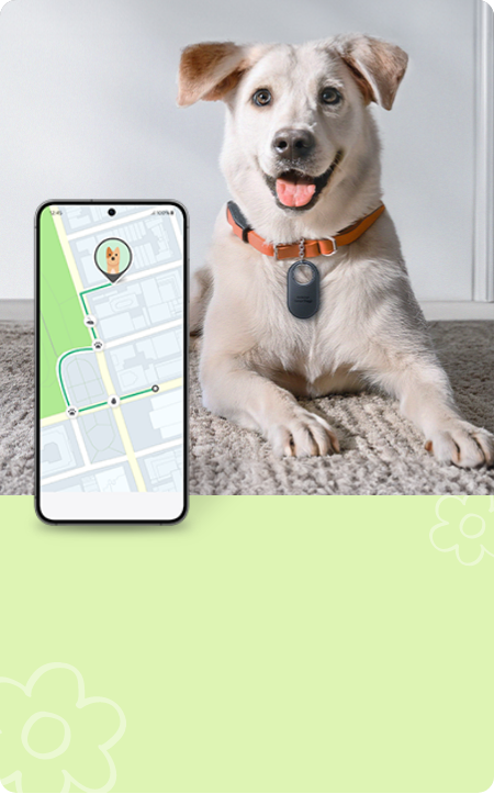 NFC 태깅으로 반려동물의 위치를 확인하는 화면, 스마트 태그를 목걸이에 달고 있는 대형견 1마리, 연두색 배경, 꽃 아이콘