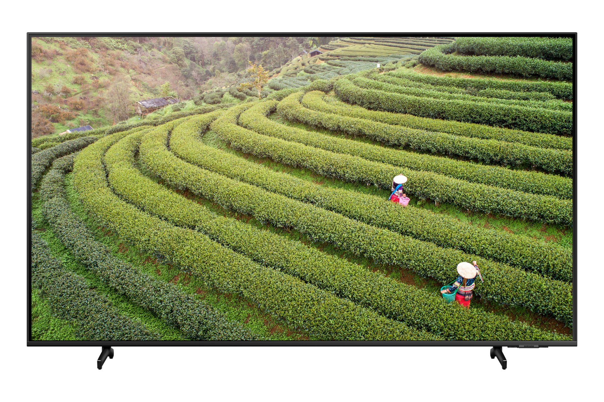 QLED 4K 125 cm 스탠드형