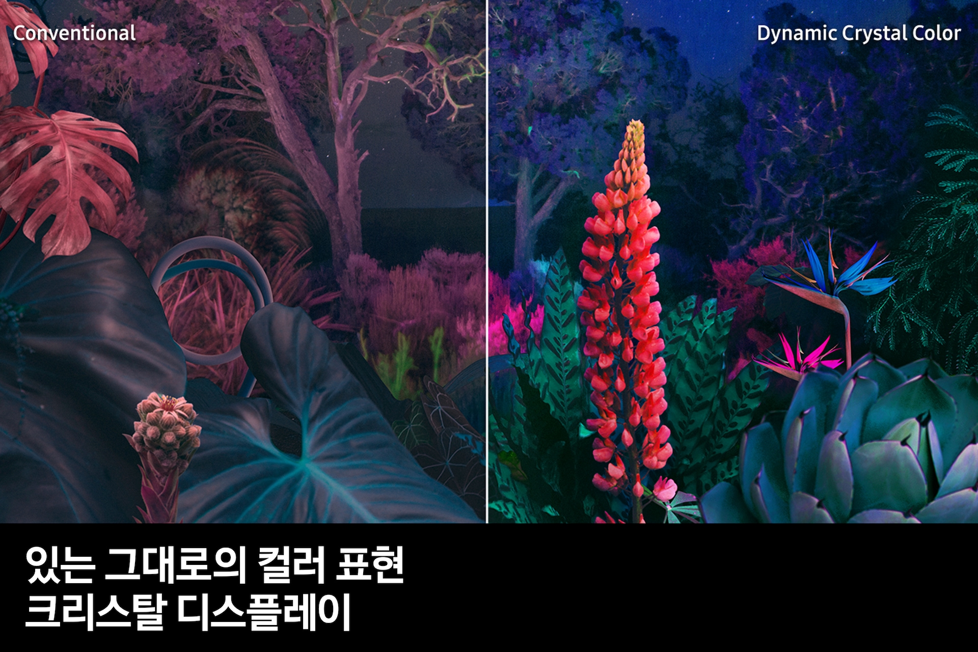 2023 Crystal UHD 163 cm 스탠드형 있는 그대로의 컬러 표현 크리스탈 디스플레이  feature컷