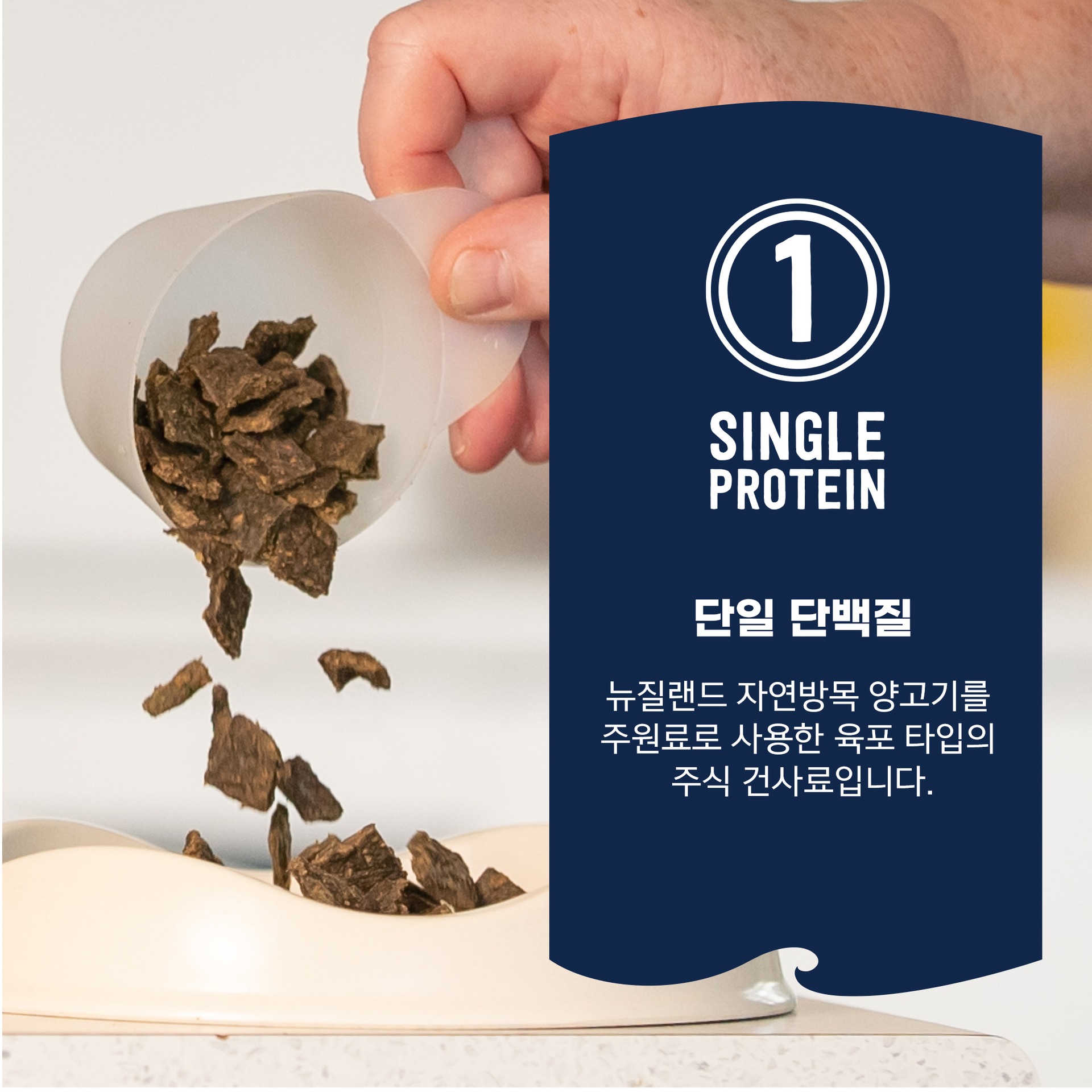 단일 단백질 3번째 이미지