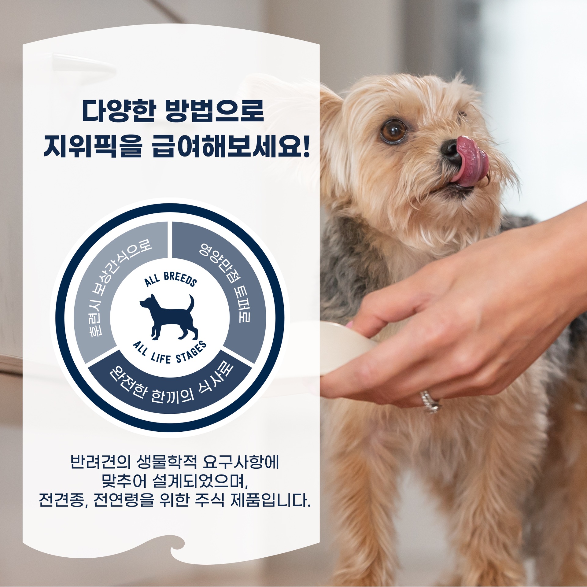 지위픽 먹는 강아지 4번째 이미지