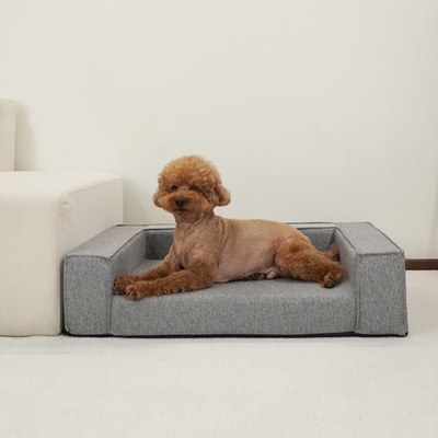 그레이색 쿠션 방석 위에 강아지