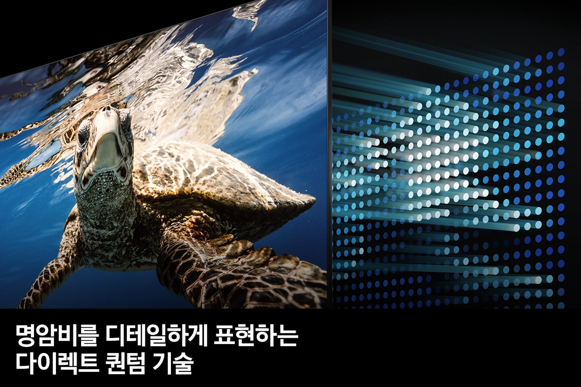 TV 화면 속에서 거북이가 헤엄지는 바닷속이 선명하게 보여지며, 그 뒤로 퀀텀 기술을 표현하고 있습니다. 명암비를 디테일하게 표현하는 다이렉트 퀀텀 기술 feature 컷입니다.