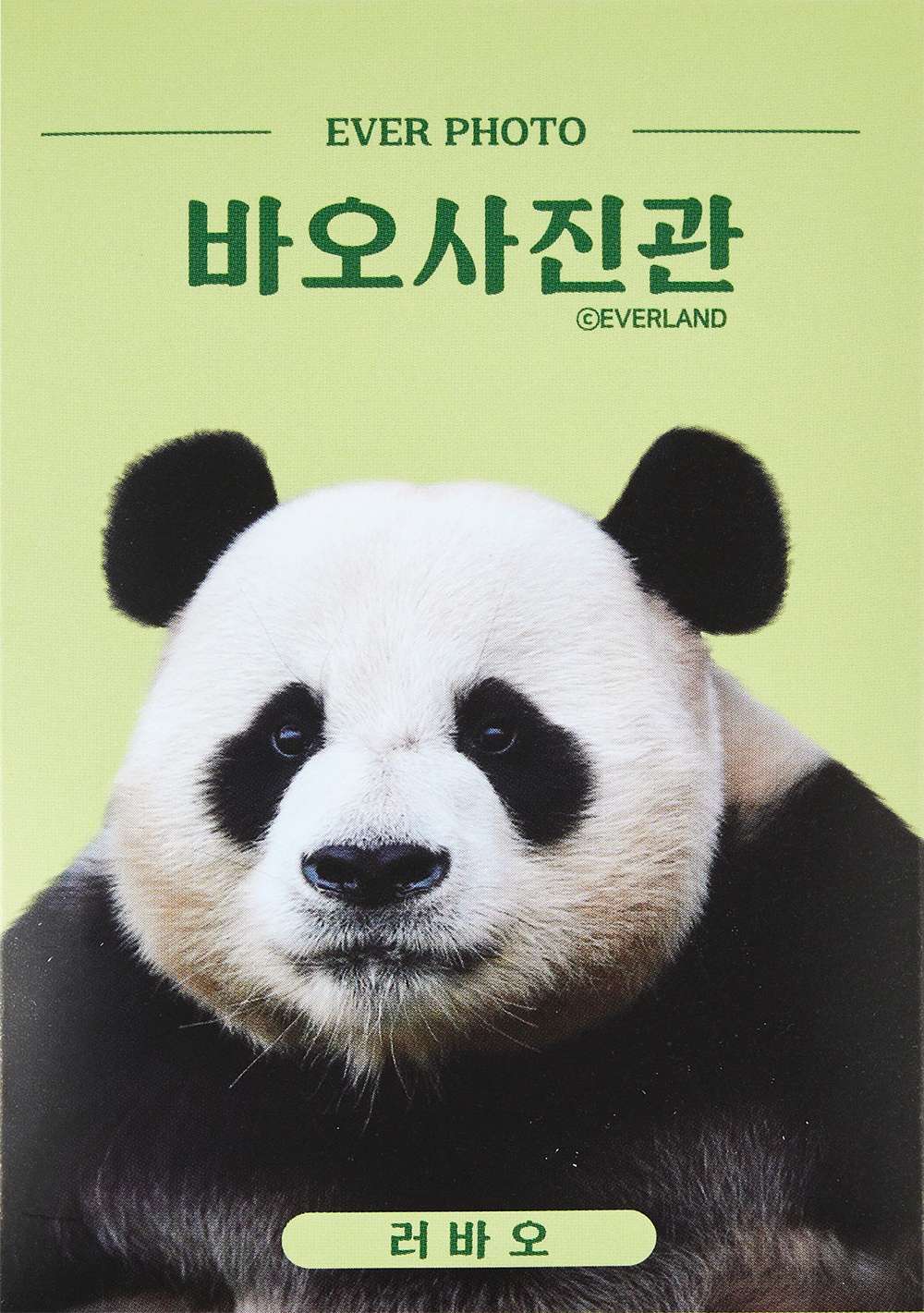 [에버랜드] 러바오 증명사진스티커