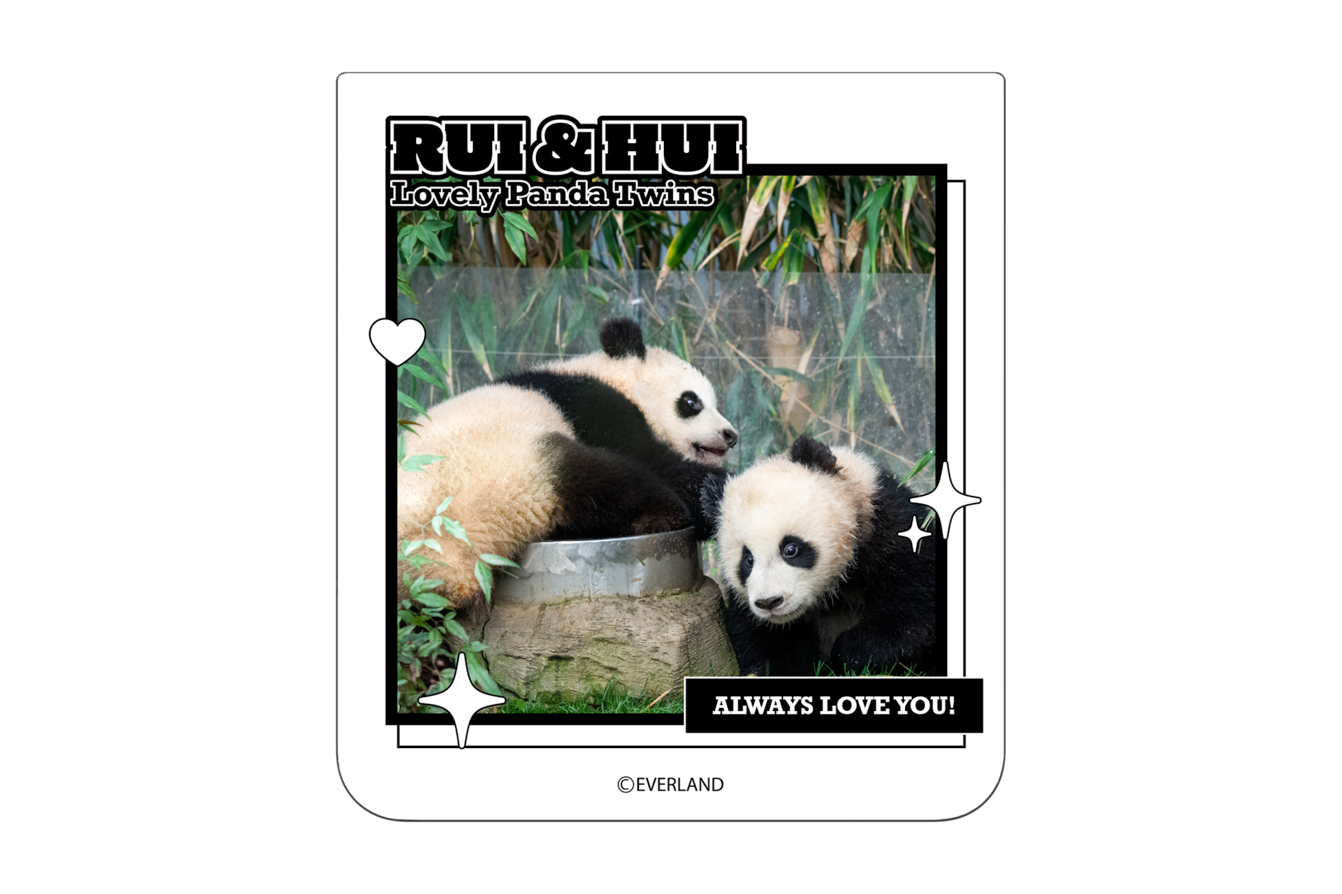 갤럭시 Z 플립6 바오패밀리 플립수트 카드 (화이트)  정면 이미지