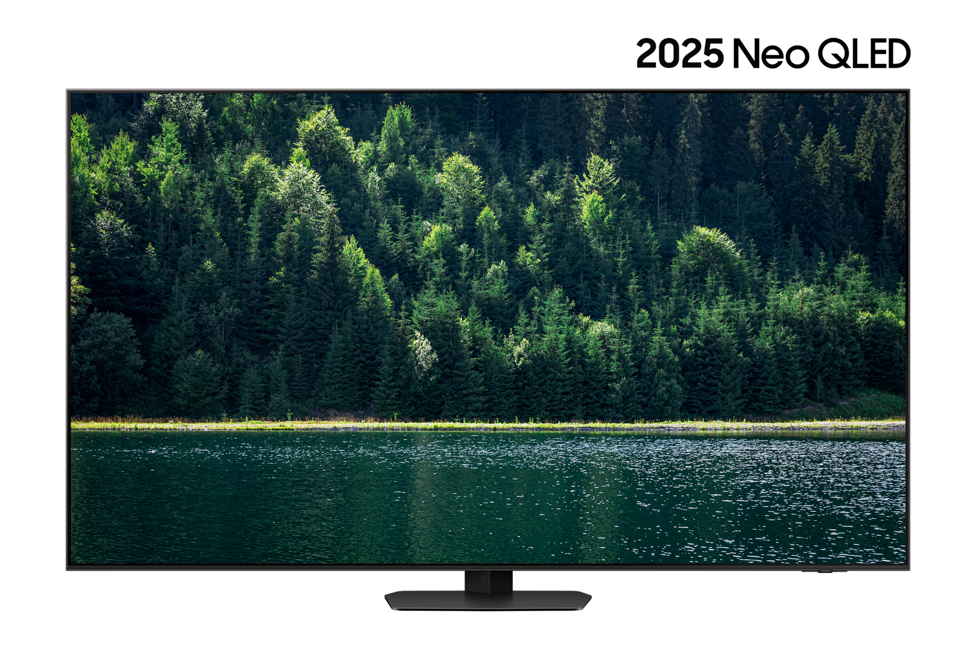 2025 Neo QLED QNF95 (214cm) 스탠드형 정면