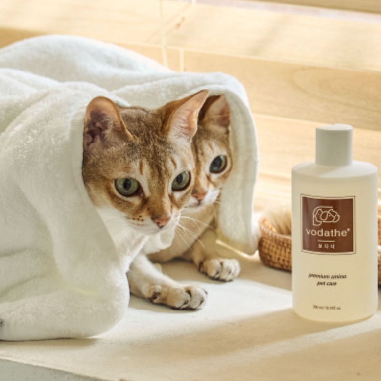 고양이와 상품사진