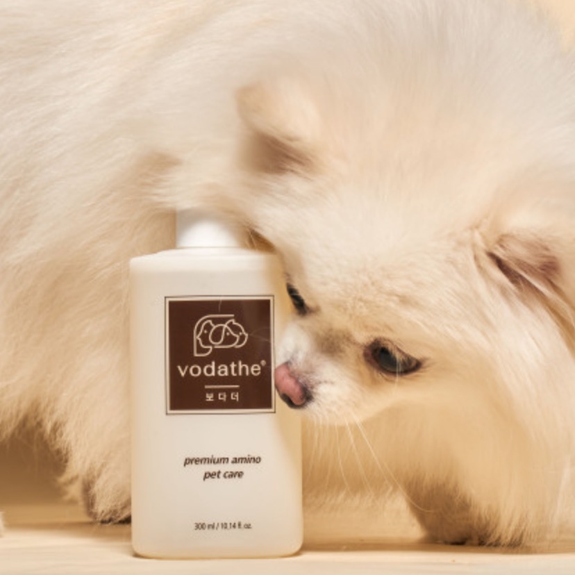 강아지와 상품사진