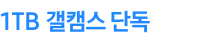 1TB 갤캠스 단독