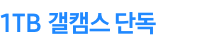 1TB 갤캠스 단독