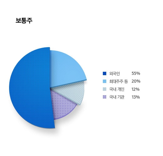 주주 구성현황 보통주 외국인 55% 최대주주 등 20% 국내 기관 13% 국내 개인 12%