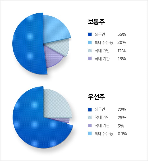 주주 구성현황 보통주 외국인 55% 최대주주 등 20% 국내 기관 13% 국내 개인 12%, 주주 구성현황 우선주 외국인 72% 국내 개인 25% 국내 기관 3% 최대주주 등 0.1%