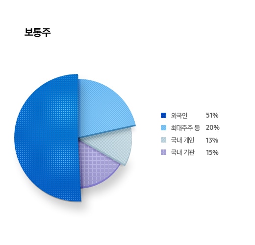 [주주 구성현황 보통주 외국인 51% 최대주주 등 20% 국내 기관 15% 국내 개인 13%]