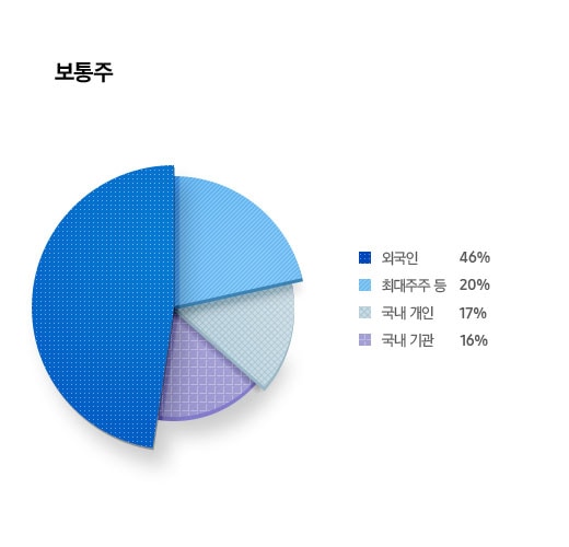 주주 구성현황 보통주 외국인 46% 최대주주 등 20% 국내 개인 17% 국내 기관 16% 