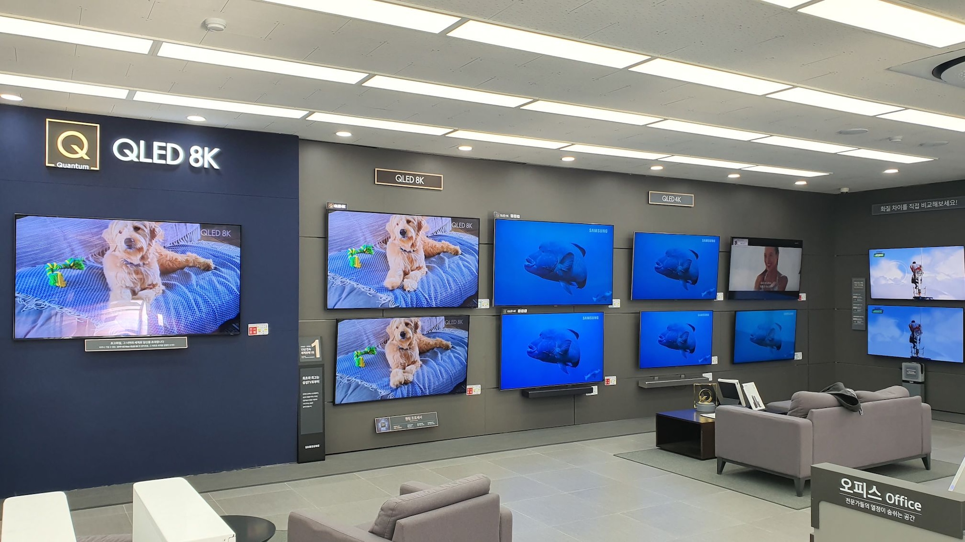 Lifestyle TV 체험존