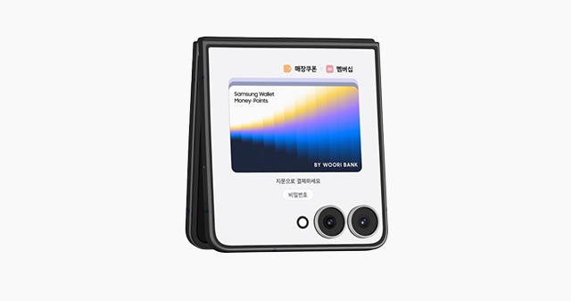 삼성 월렛 머니·포인트