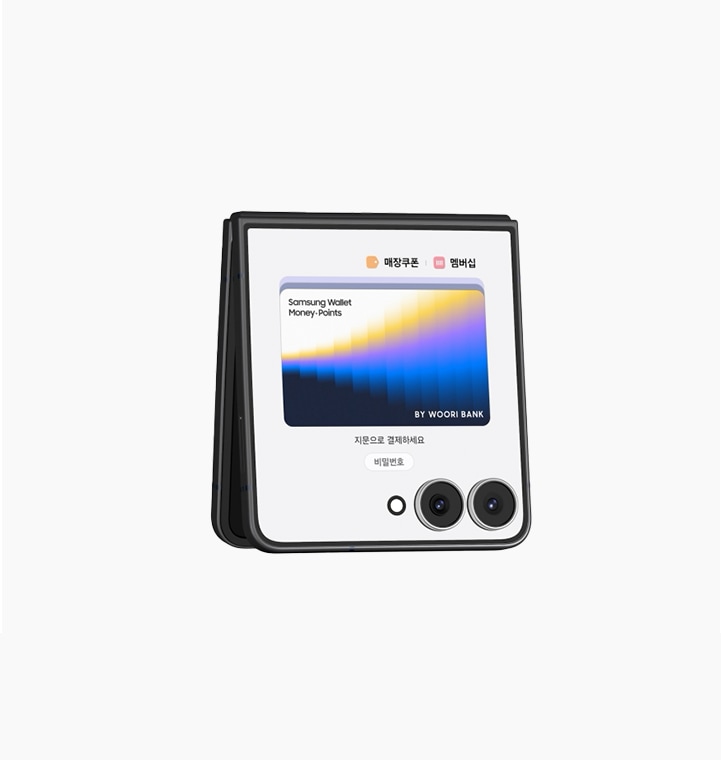 삼성 월렛 머니·포인트