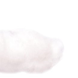 [감자칩 조각]