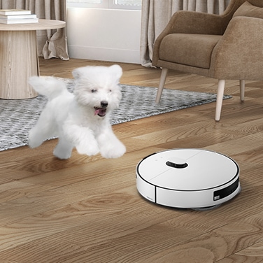 강아지와 BESPOKE 제트 봇 AI 미스티 화이트가 거실에서 즐겁게 뛰어 놀고 있는 장면이 연출 되어 있습니다.