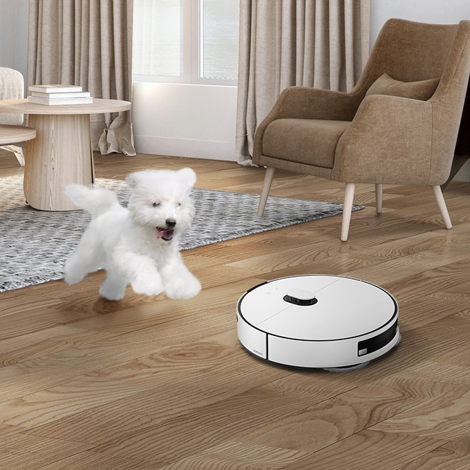 강아지와 BESPOKE 제트 봇 AI 미스티 화이트가 거실에서 즐겁게 뛰어 놀고 있는 장면이 연출 되어 있습니다.