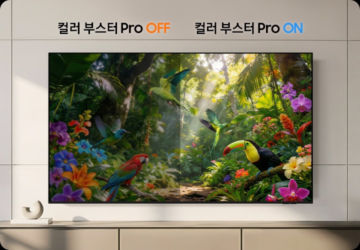 TV 화면에는 자연 풍경이 송출되고 있습니다. 왼쪽은 컬러 부스터 Pro 기능이 꺼진 상태이며, 오른쪽은 컬러 부스터 Pro 기능이 켜진 상태입니다.